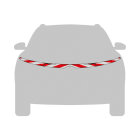 Renault Megane E-Tech, 2022/03 - | warning marking kit